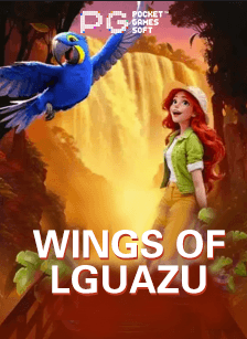 wings-of-lguazu
