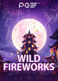 wild-fireworks